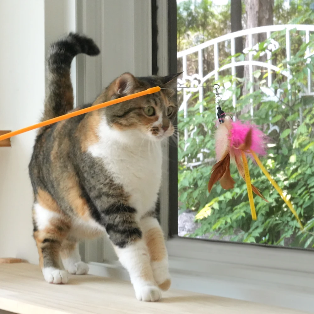 PARISCAT 可折疊式逗貓棒