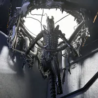 ◆終止預購◆羅穆路斯 Xenomorph XX121