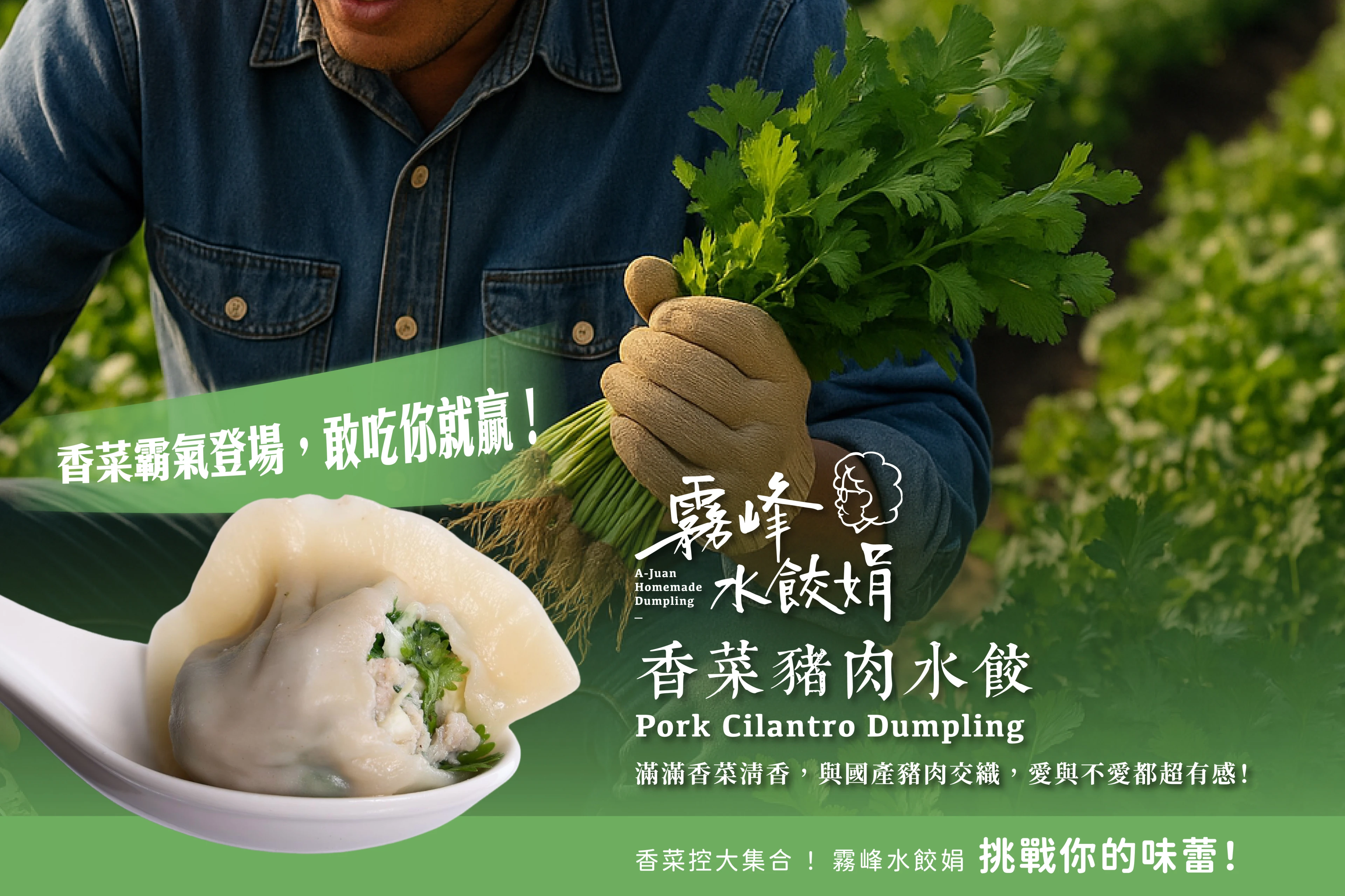 2026香菜水餃上架啦!!