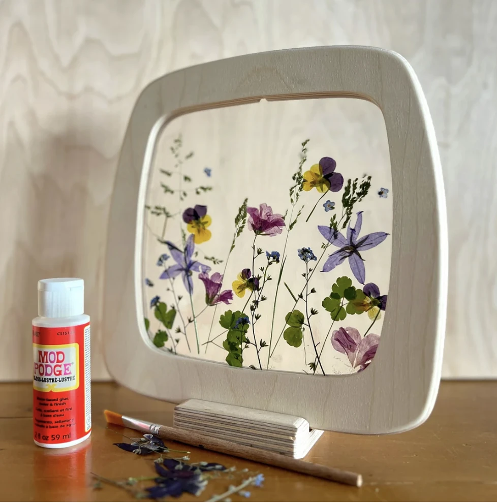 DIY 壓花組 Flower Silhouette Kit