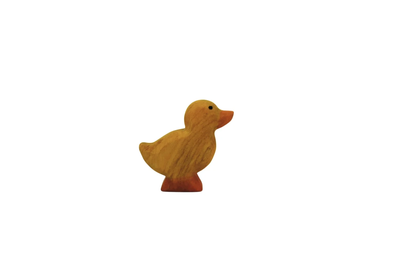 黃鴨寶寶 Duckling