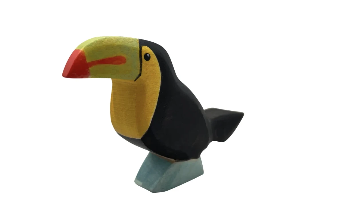森林巨嘴鳥 Toucan