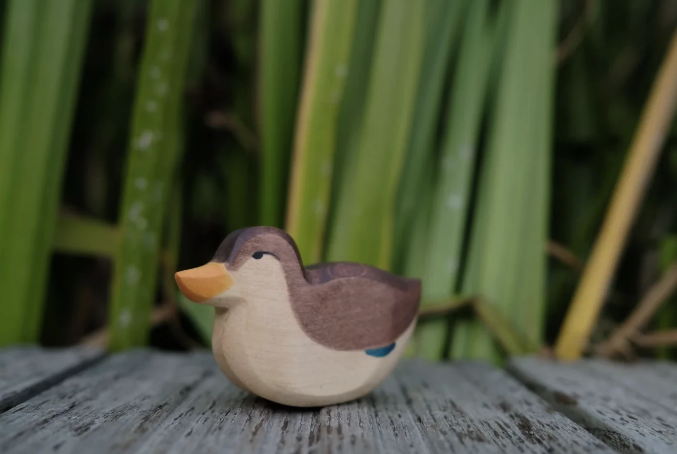 坐姿鴨鴨 Duck Sitting