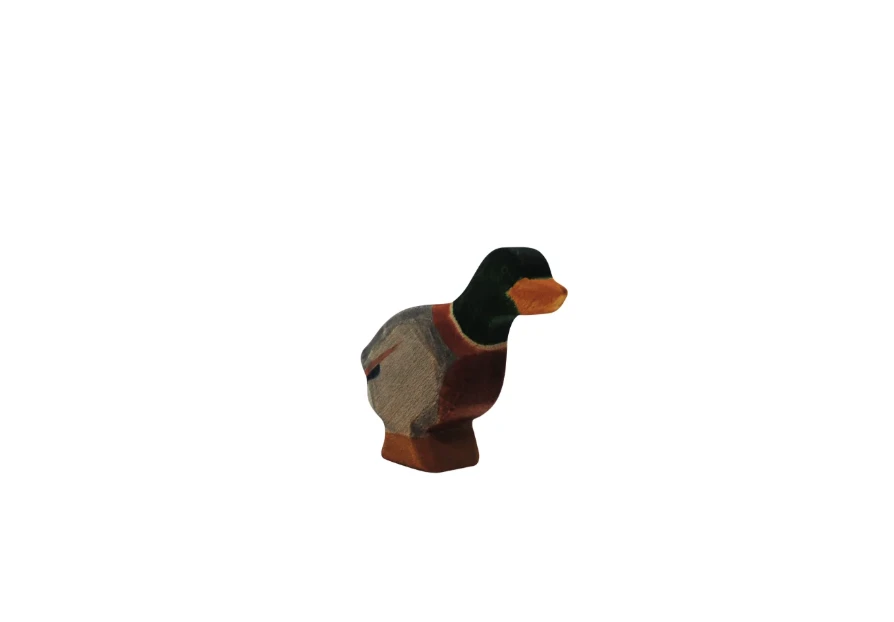伸長脖子的公鴨 Duck male stretched
