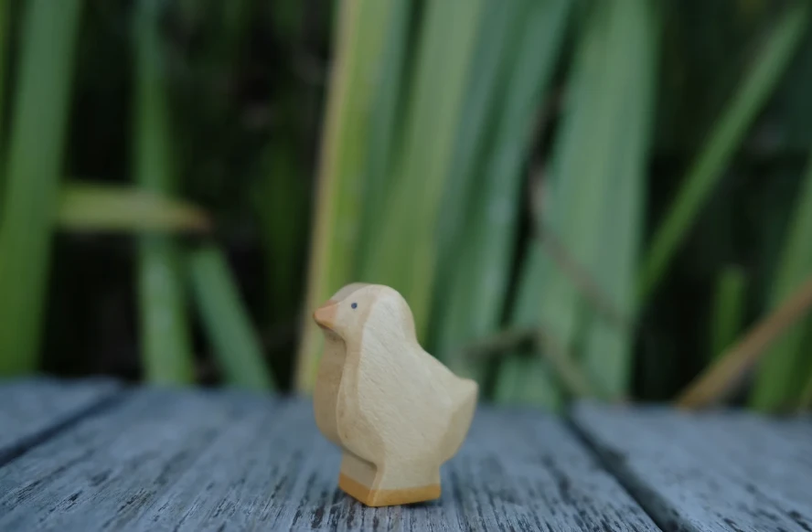 深色小雞 Chick dark