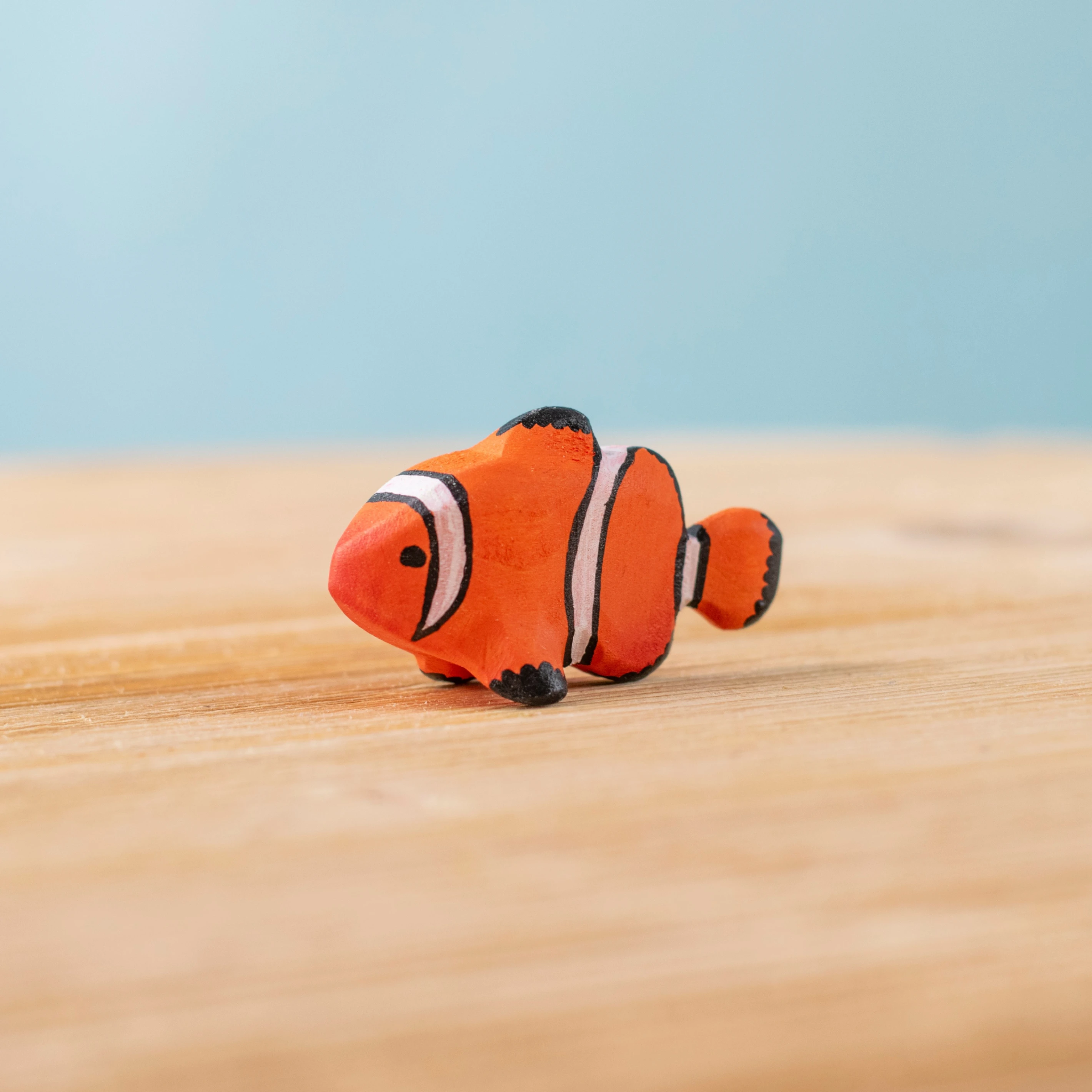 小丑魚 Clown Fish
