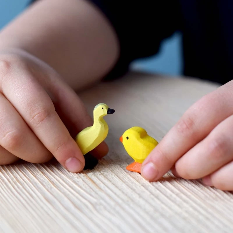 小鴨寶寶 Duckling (單隻）