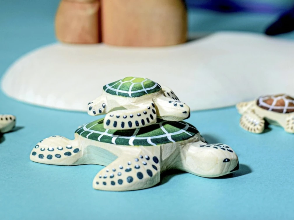 Sea Turtle 大海龜
