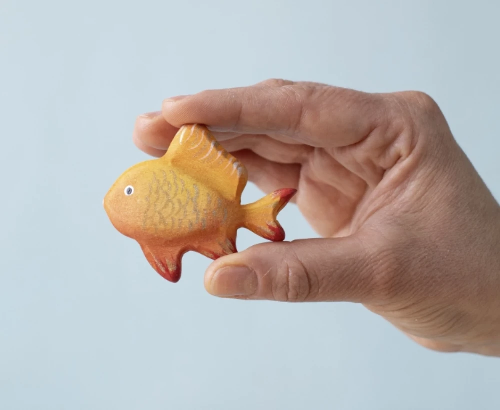Golden Fish 小金魚