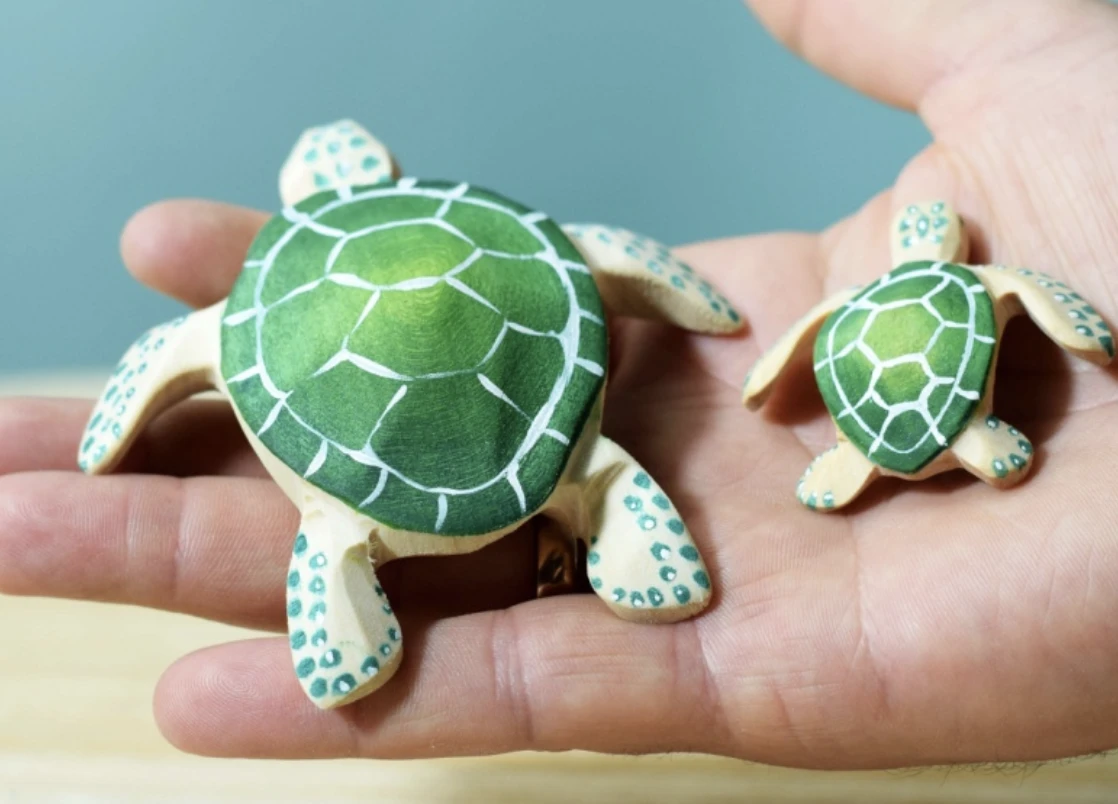 Baby sea turtle 小海龜