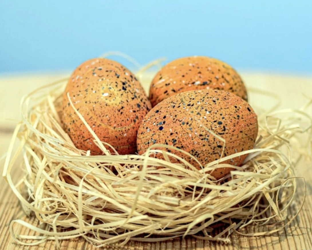 副櫛龍蛋三件組Parasaurolophus Eggs SET