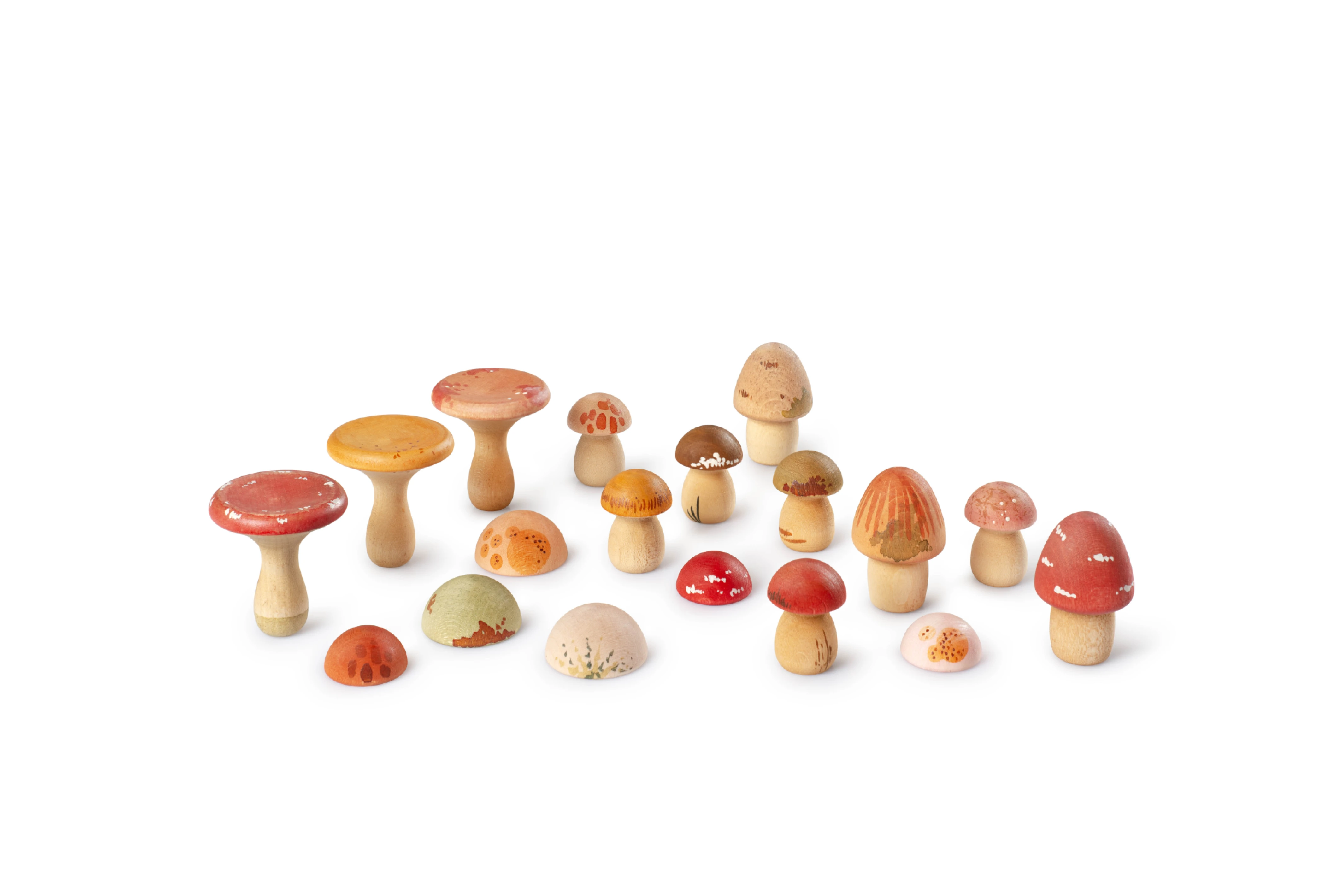 2026 新品 MUSHROOM GROVE 蘑菇林地
