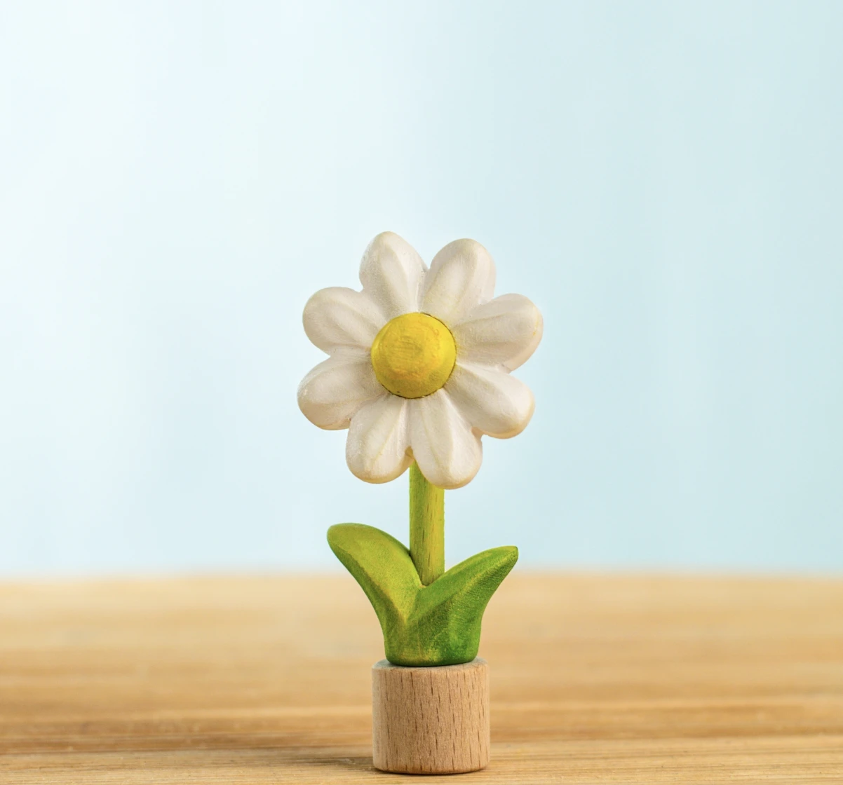 Festive Daisy｜節慶雛菊（原木底座）