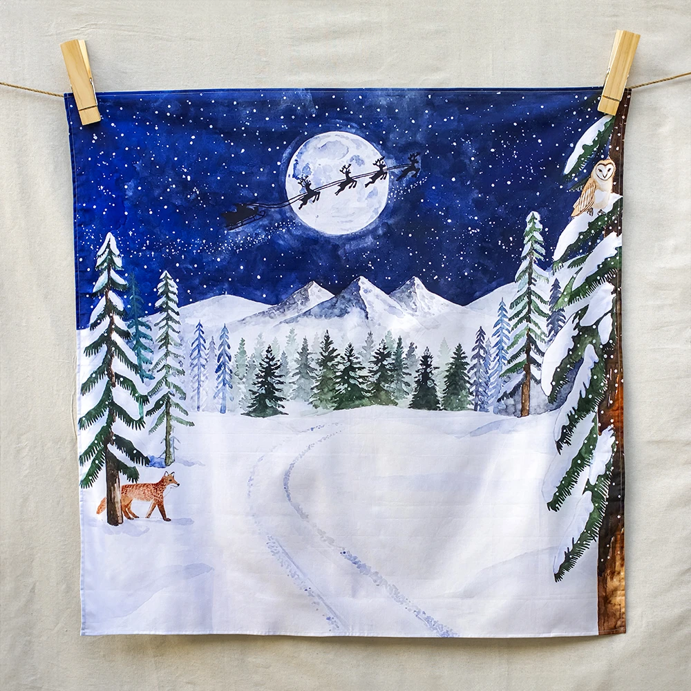 One Starry Winter’s Night|冬夜星空
