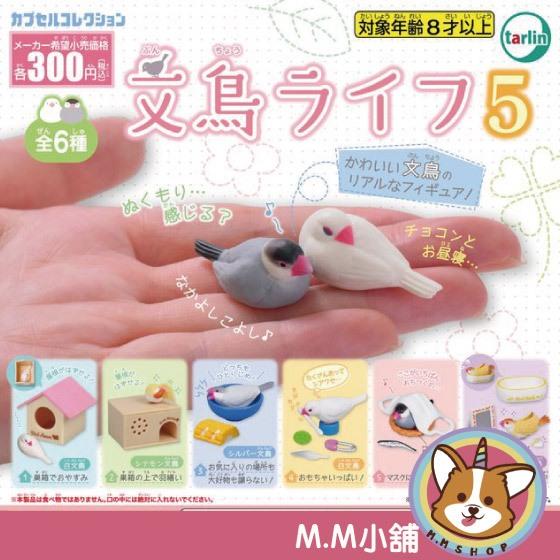 【M.M小舖】 『現貨』 Tarlin 轉蛋 扭蛋 文鳥的日常生活P5 5 文鳥 生活 小鳥 公仔 動物 全6款