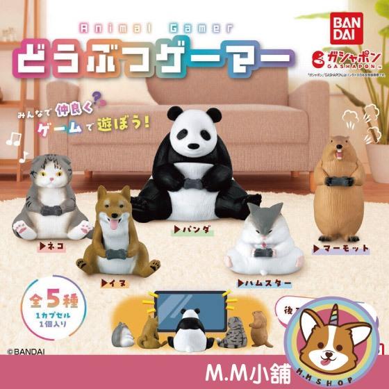 【M.M小舖】 『現貨』 BANDAI 轉蛋 扭蛋 打電動的動物們 電動 動物 貓熊 貓咪 狗狗 倉鼠 土撥鼠 全5款