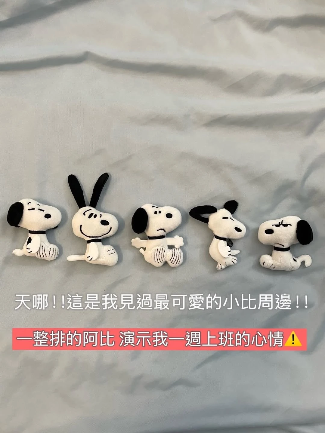 Snoopy毛絨胸章盲袋
