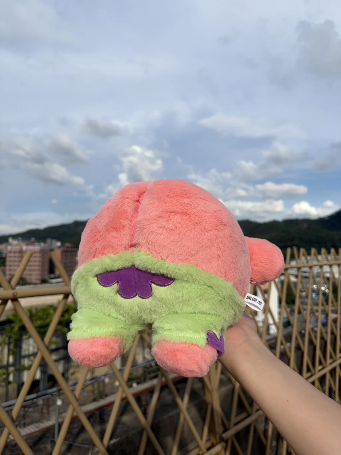 派大星の屁屁蜜桃臀紙巾盒