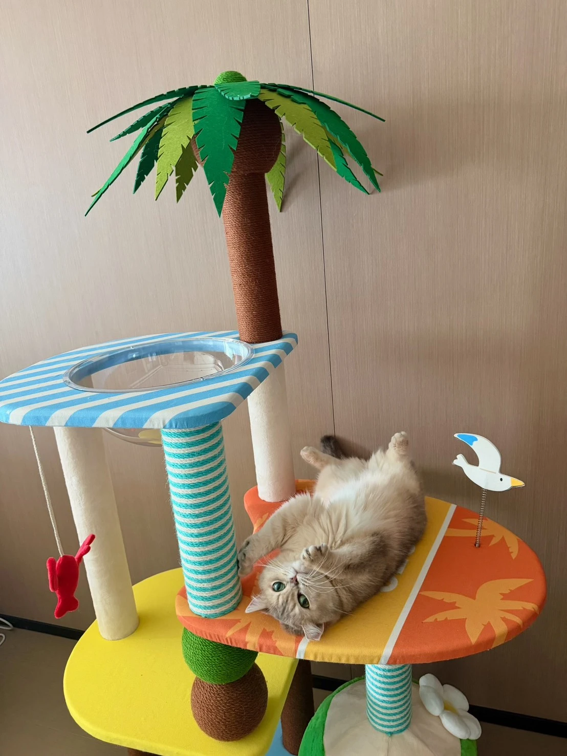 ZEZE 夏日椰島貓爬架