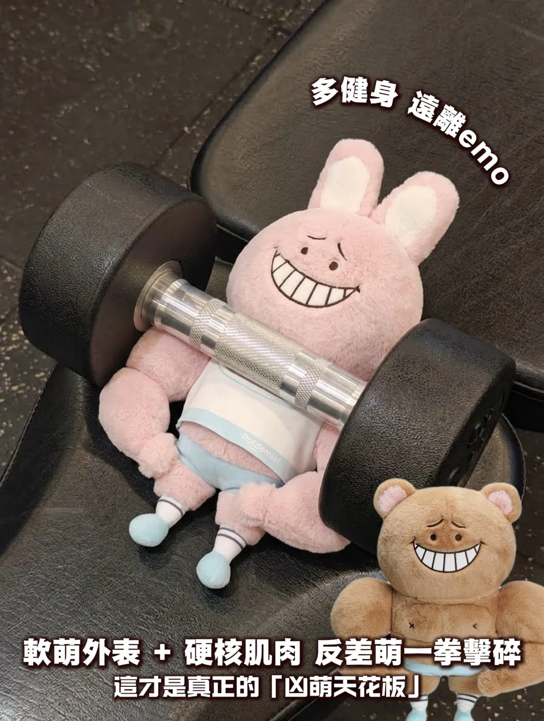 軟中帶硬肌肉小熊/小兔