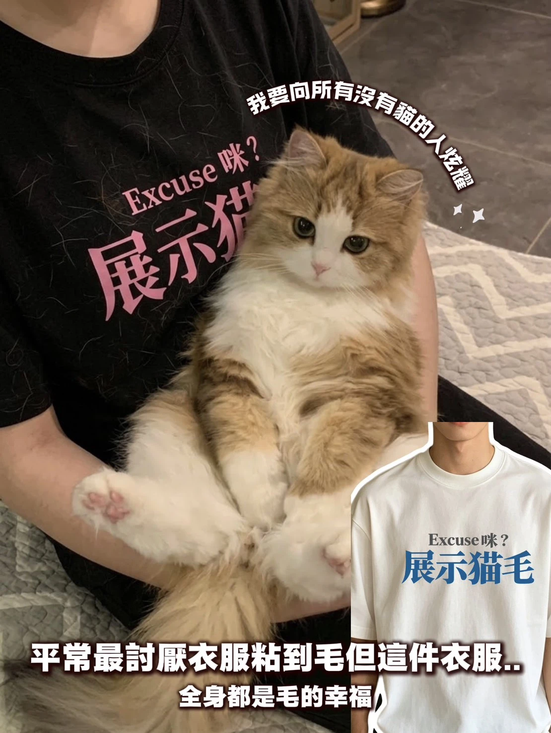 展示貓名額短袖上衣