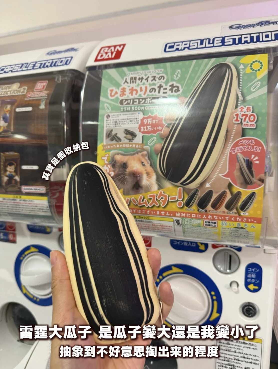 大瓜子收納包
