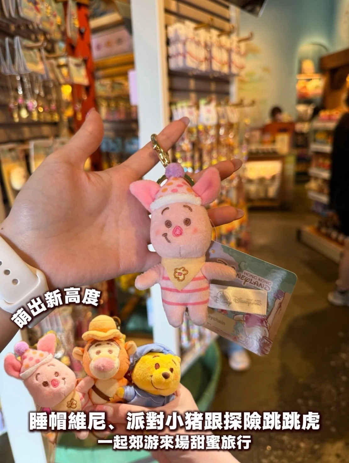 迪士尼甜蜜郊遊小熊維尼系列絨毛吊飾