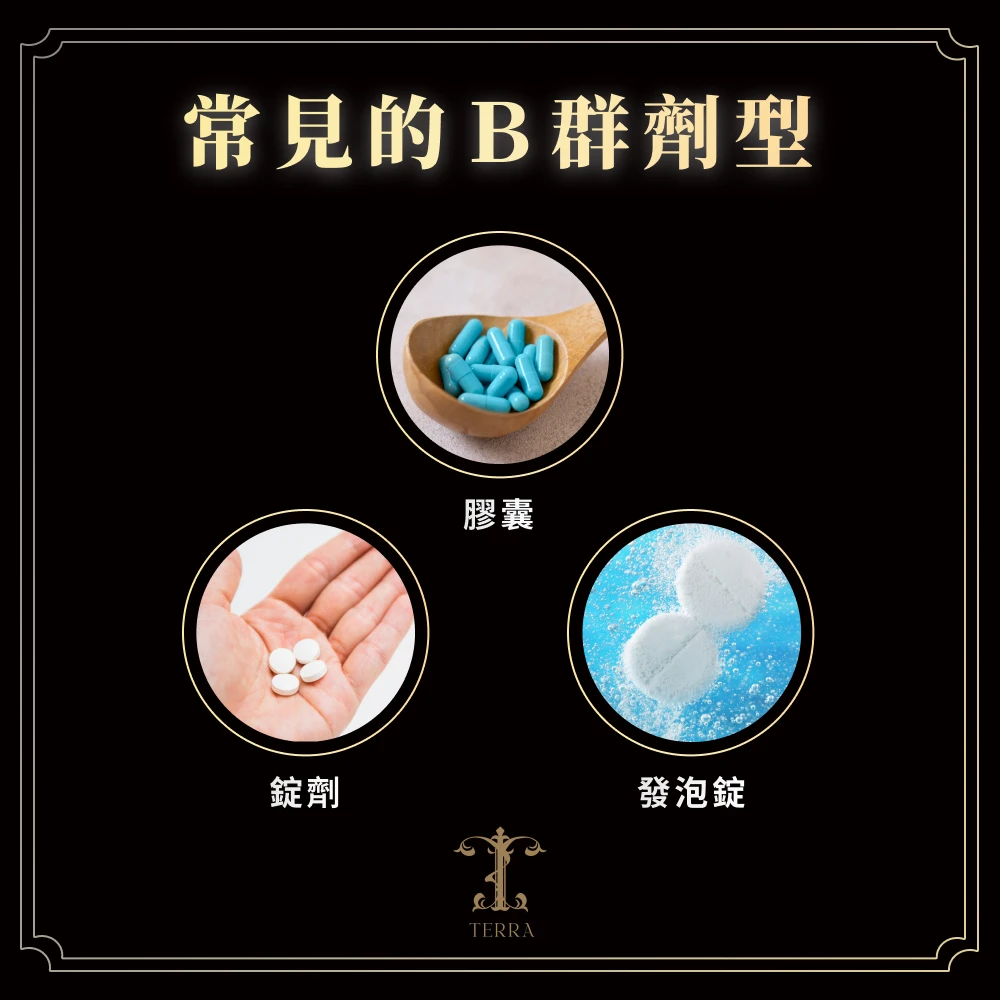 B 群的劑型