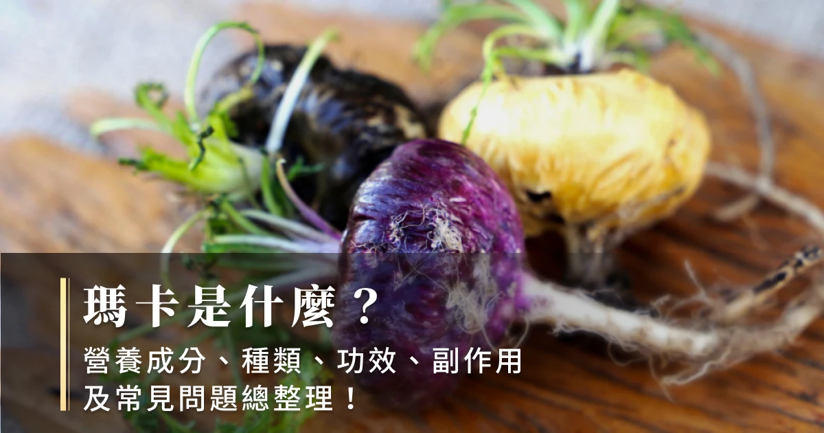 瑪卡是什麼?營養成分、種類、功效、副作用及常見問題總整理!