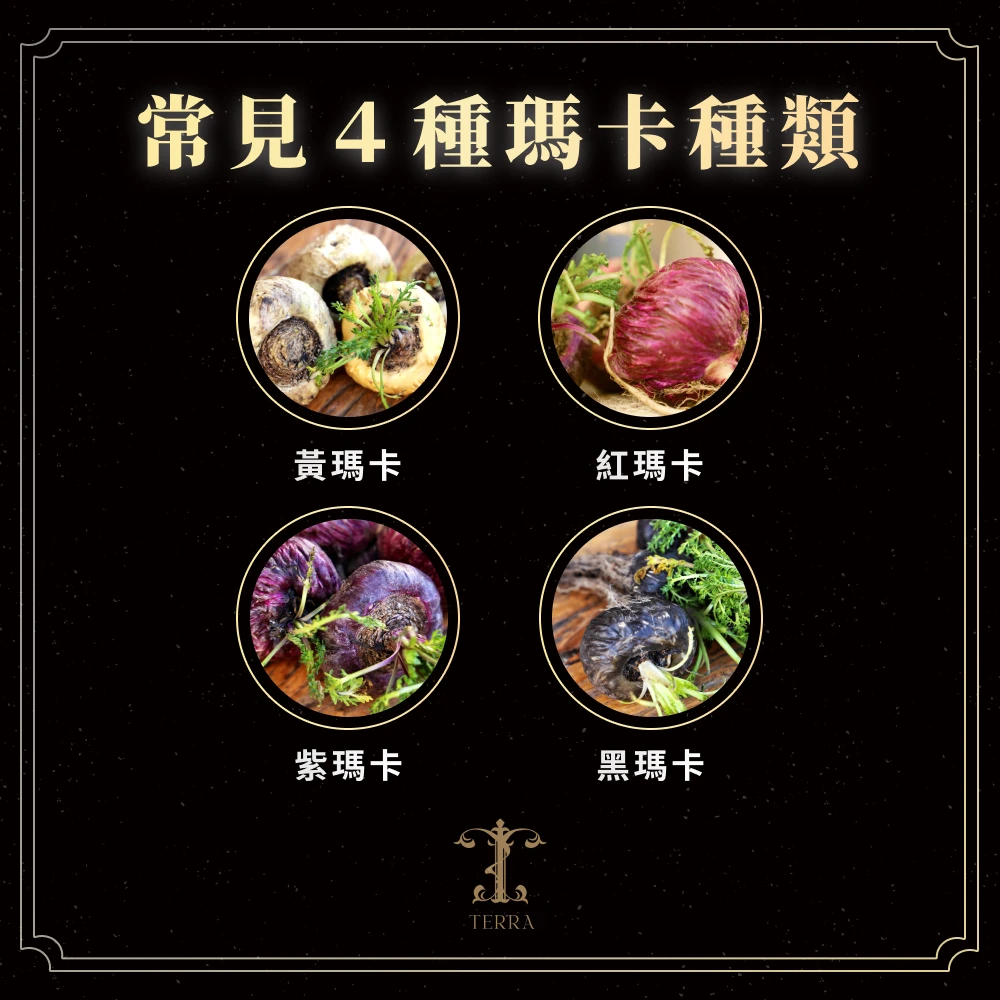 常見 4 種瑪卡種類