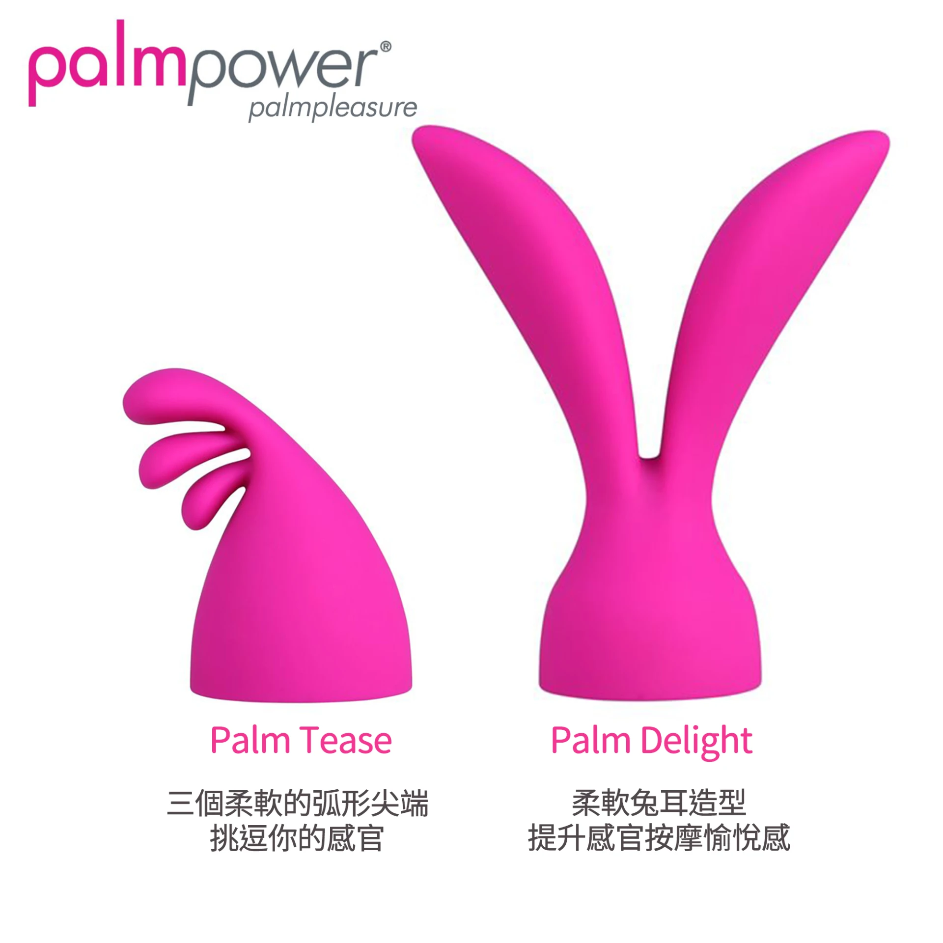 潘美爾 PalmPower 專用頭套2入裝 PalmPleasure