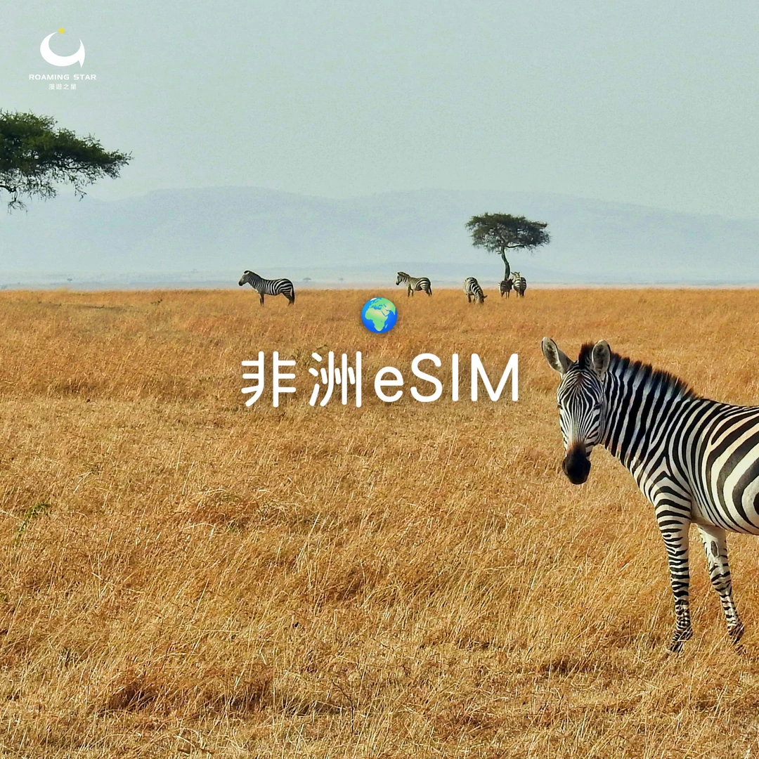 非洲 eSIM｜所有方案