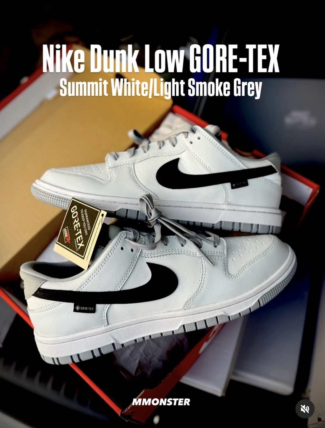 NIKE DUNK LOW GTX GORE-TEX 煙灰黑 防水 HQ2053-100