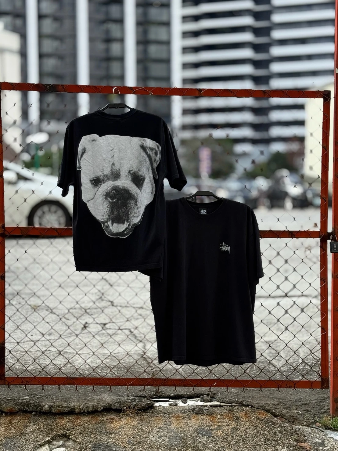Stussy Big Dog Stone Washed Tee