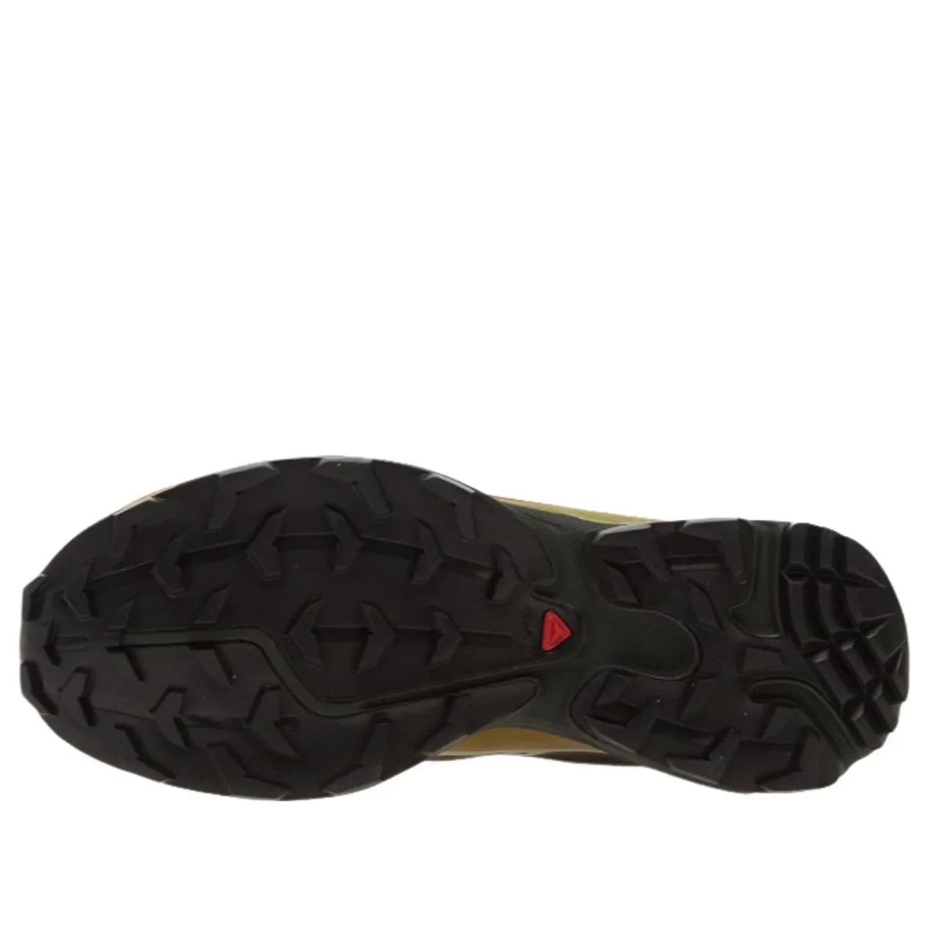 Salomon XT-6 Gore-Tex「Delicioso Tea」