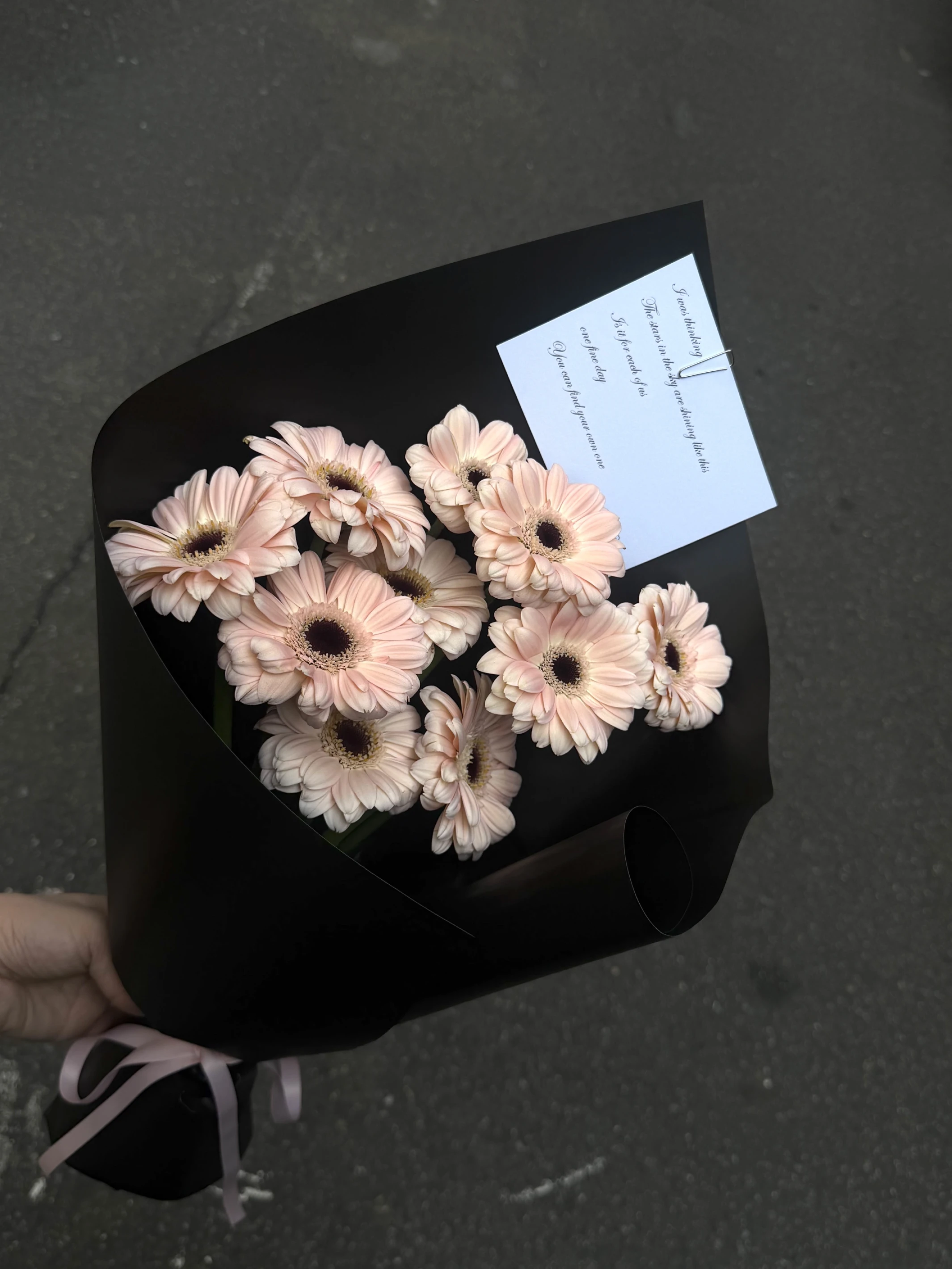 Pink Gerbera Daisy|粉非洲菊花束