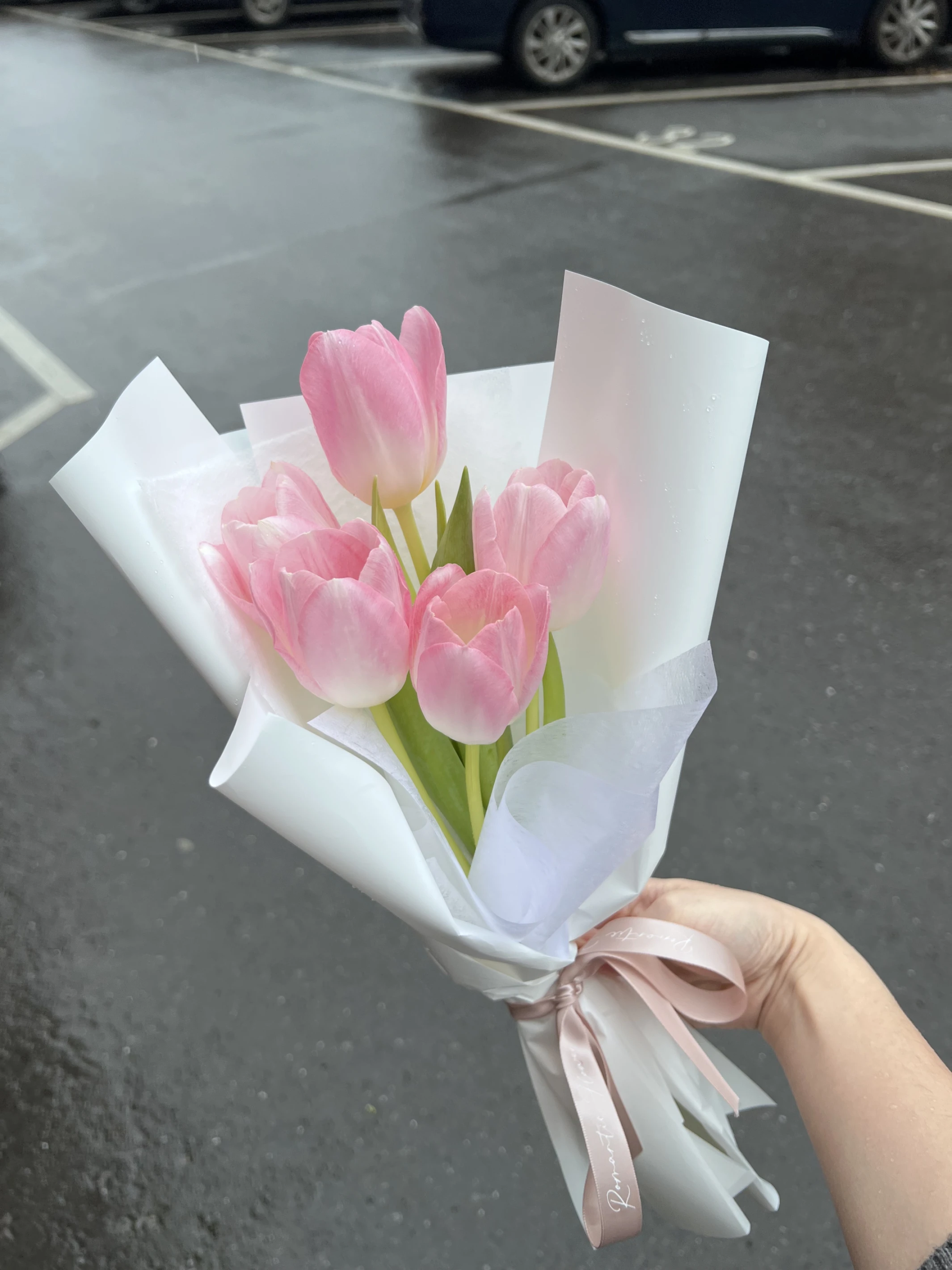 Tulip Kiss｜鬱見心動
