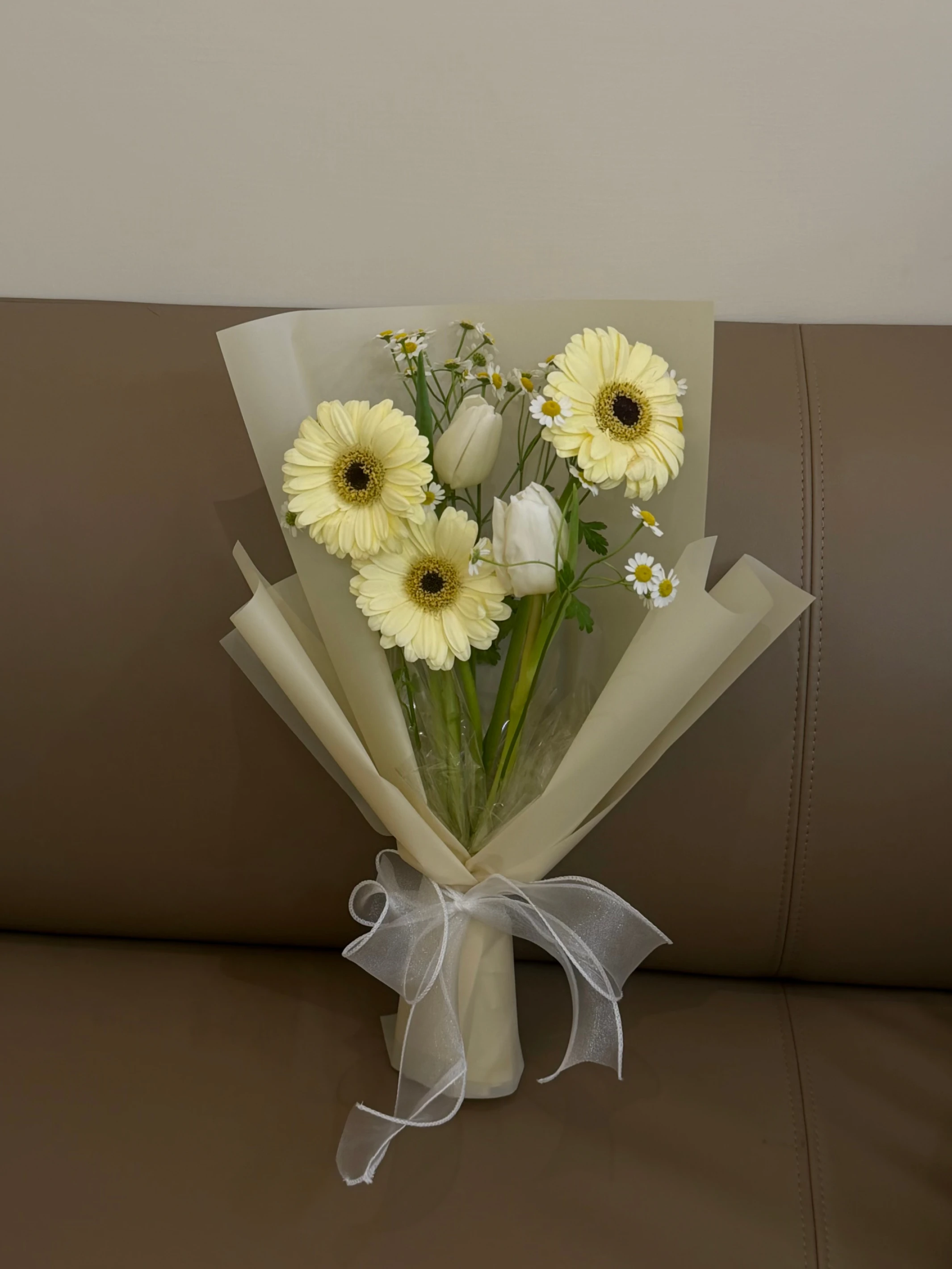 Tulip x Daisy  |鬱金香非洲菊花束