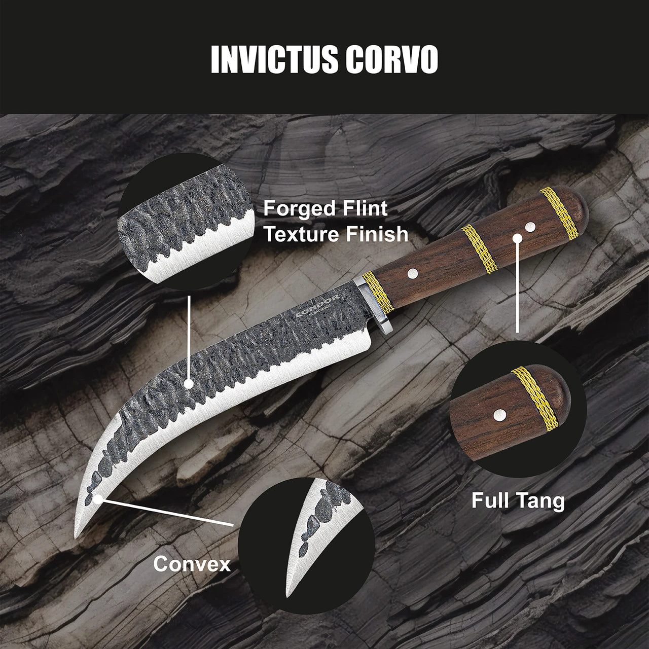 薩爾瓦多Condor直刀彎刃INVICTUS CORVO 1095高碳鋼核桃木握柄附手工皮套Con63883