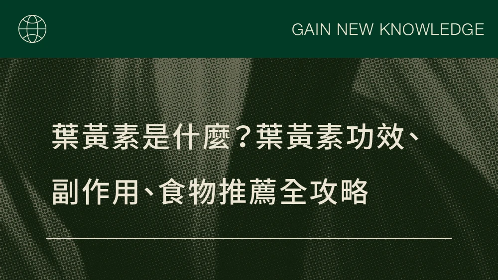 葉黃素是什麼？葉黃素功效、副作用、食物推薦全攻略