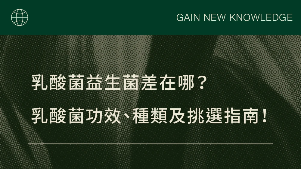 乳酸菌益生菌差在哪？乳酸菌功效、種類及挑選指南！