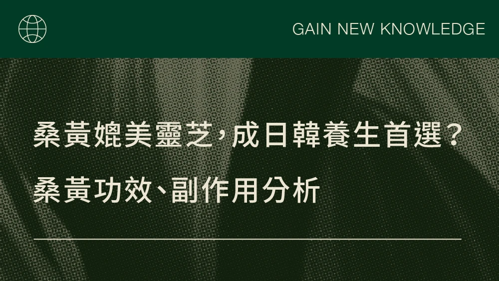 桑黃媲美靈芝，成日韓養生首選？桑黃功效、副作用分析