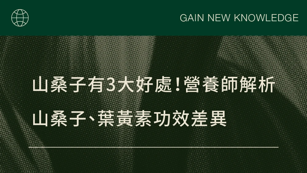 山桑子有3大好處！營養師解析山桑子、葉黃素功效差異