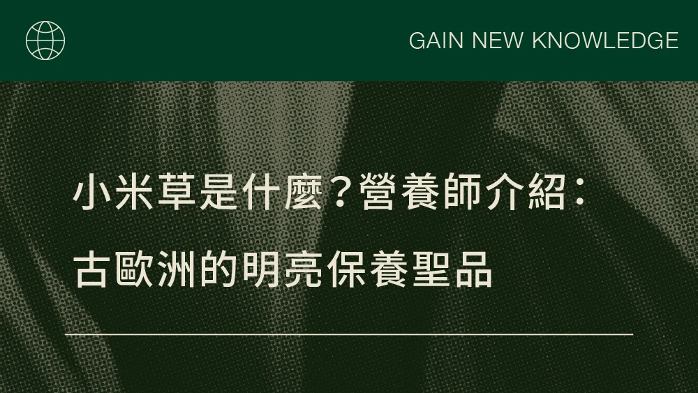 小米草是什麼？營養師介紹：古歐洲的明亮保養聖品