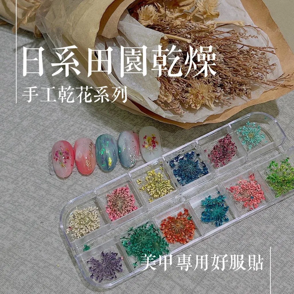 滿天星乾燥花