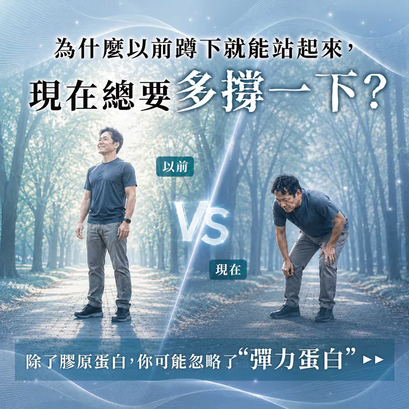 為什麼以前蹲下就能站起來，現在總要多撐一下？除了膠原蛋白，你可能忽略了彈力蛋白
