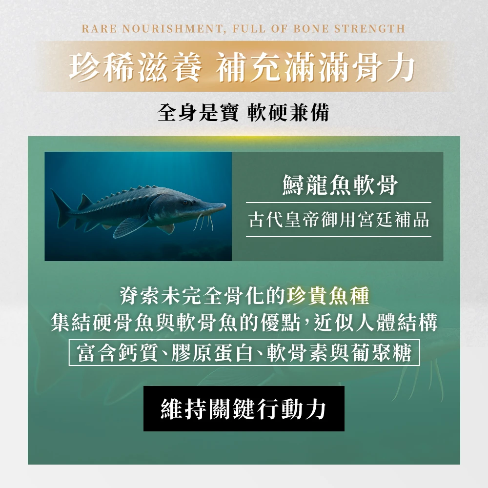 鱘龍寶飲 30包