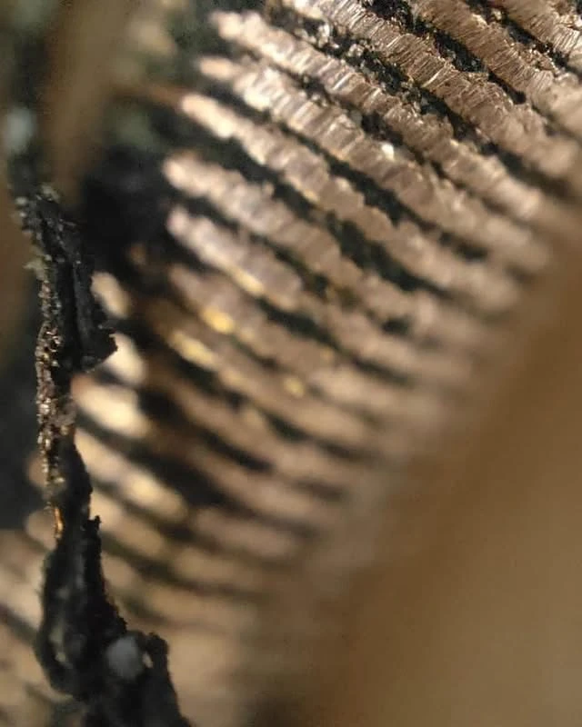 MSD 8.5mm Super Conductor 螺旋纏繞式線芯電磁防護抗干擾結構圖