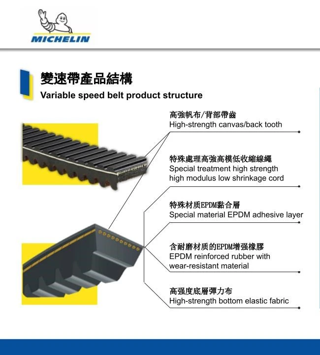 CVT無段變速皮帶三層物理構造與內部抗拉線芯張力層力學解析圖