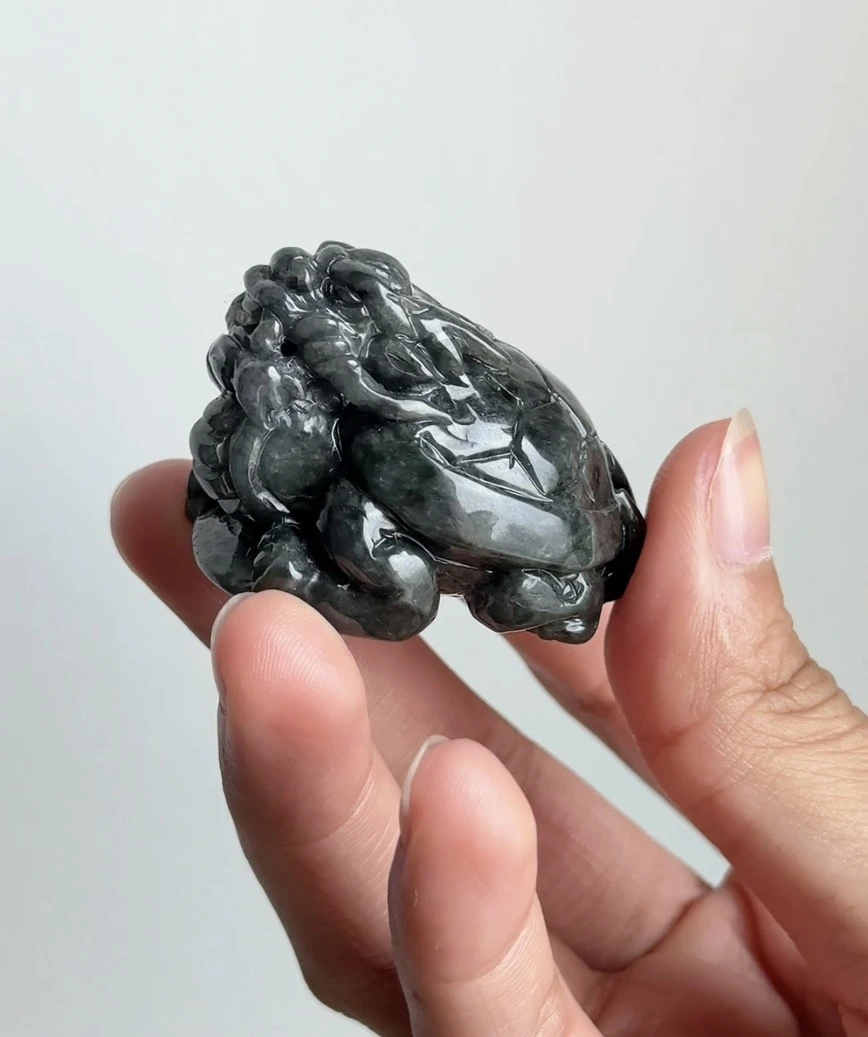 烏雞翡翠古龍龜